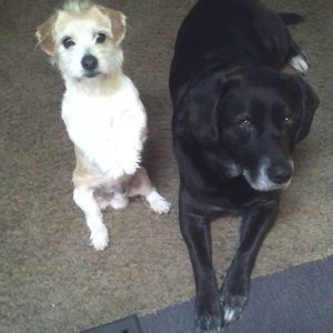 Meet your Posher, Sandy